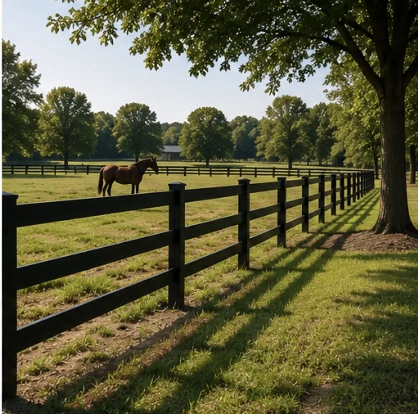 Black board horse fence around an Aiken pasture